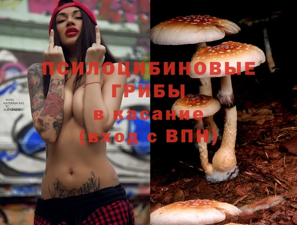 тгк Беломорск