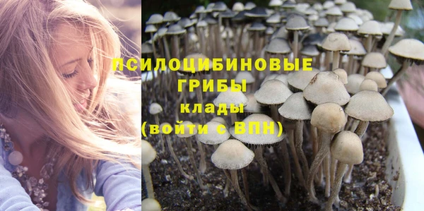 тгк Беломорск